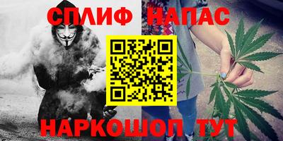сатива Чебаркуль